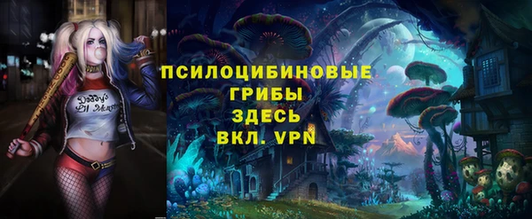 дмт Карпинск