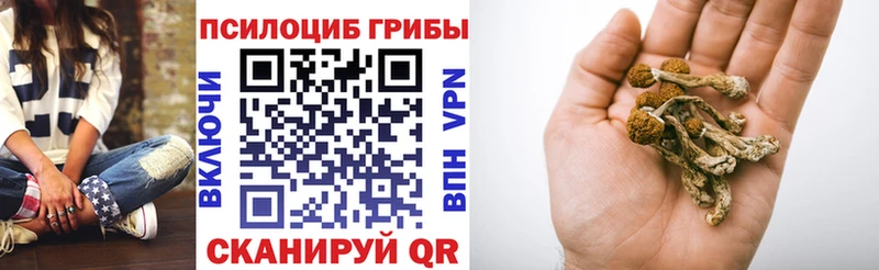 Купить закладки  Сретенск  Галлюциногенные грибы ЛСД 